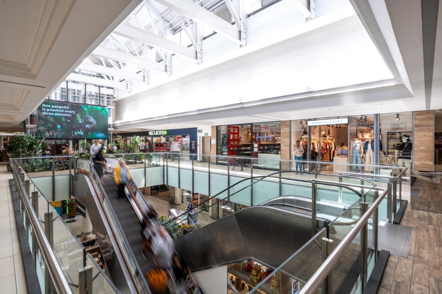 To Let 0 Bedroom Property for Rent in Oranjezicht Western Cape